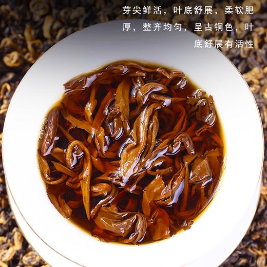 买一送一！吉顺号口粮级滇红茶2024年新品红茶蜜香红螺散茶500g/袋买1送1共发1000克 商品图6