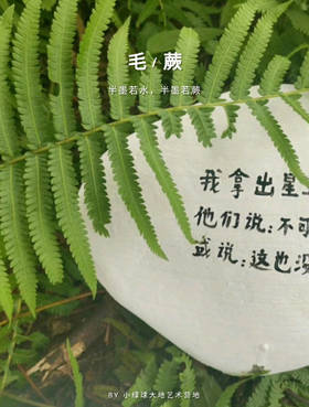 光子的知音们（10本）