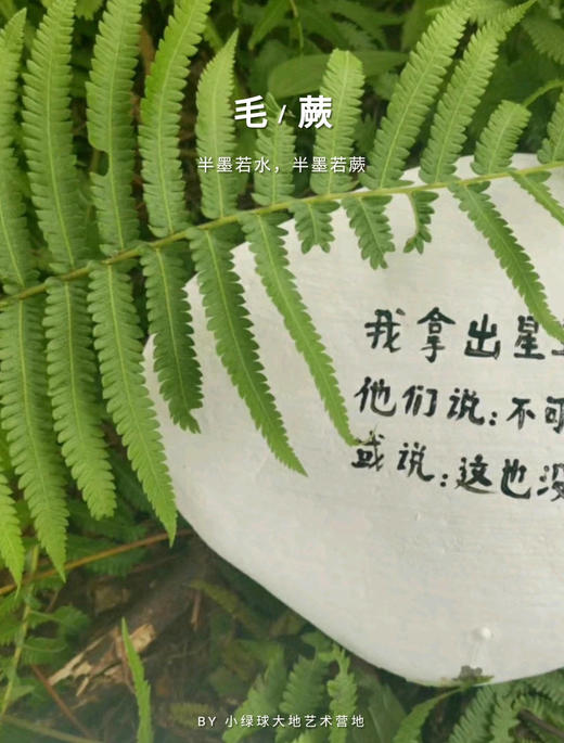 光子的知音们（10本） 商品图0