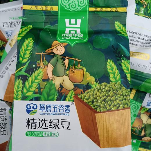 草原五谷香精选绿豆1kg 商品图0