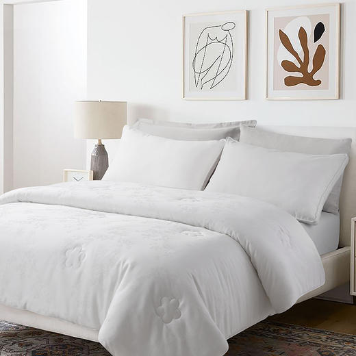 ABS爱彼此 软纤科技沁润柔暖蚕丝被 商品图0