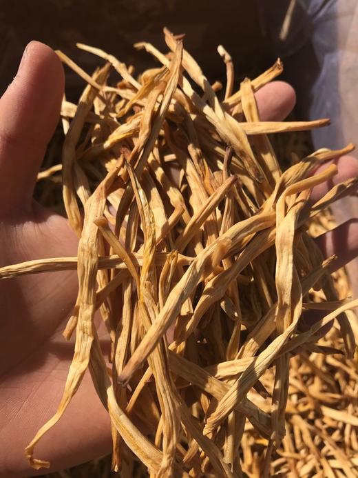 宁夏富硒特级无硫黄花菜1斤2斤装 全国包邮 商品图4