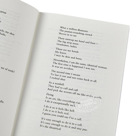 【中商原版】西尔维娅 普拉斯 爱丽尔 英文原版 Ariel Faber Modern Classics Sylvia Plath 普利策奖诗人 20世纪的诗坛奇迹 商品图3