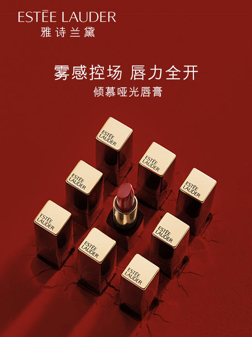 【中欧班列精选】Y lpy美国雅诗兰黛口红333限量版枫叶红唇膏倾慕丝绒哑光420豆沙色3.5克 商品图0