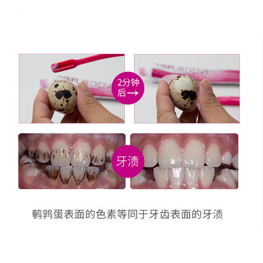 【品牌直发】【瑞士Dr.wild怀尔德】清洁套装 商品图3