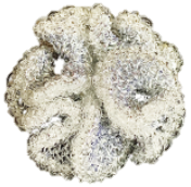 GAFB/RCES01-J08种珊瑚系列 耳钉