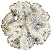 GAFB/RCES01-J08种珊瑚系列 耳钉 商品图0