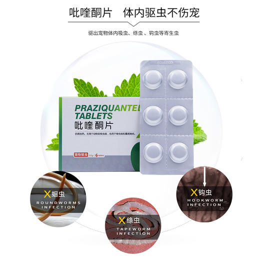 正品 新宠之康 吡喹酮片 宠物驱虫 商品图2