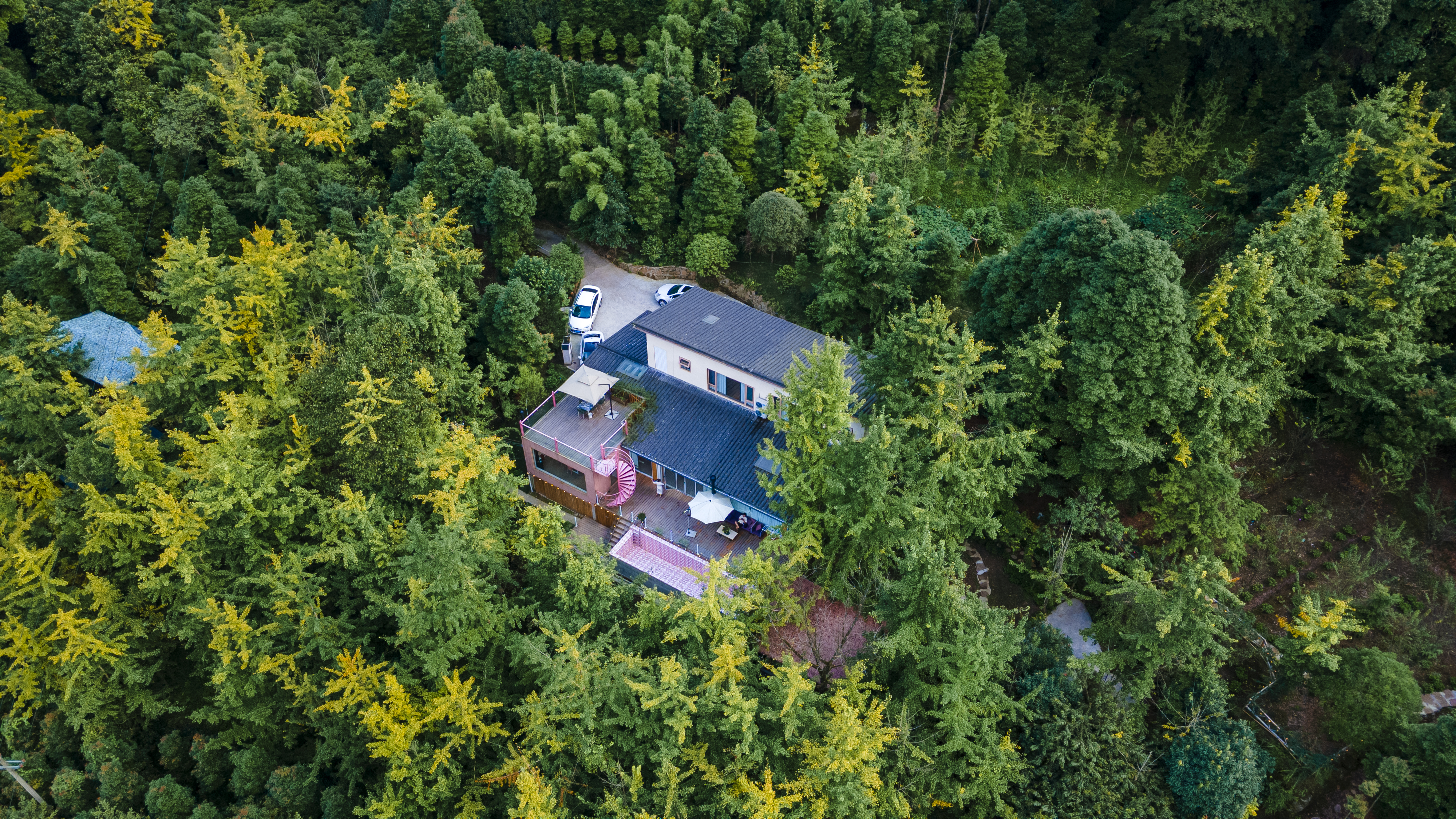 【青城山#002号院】4房温泉小院，K歌、儿童游玩（秋千、滑滑梯、海洋球池等）、地暖，私享6000㎡银杏山林 ESSG