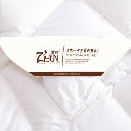 【紫韵家纺】卡罗琳塞鹅绒被白色皮质软包 商品图0