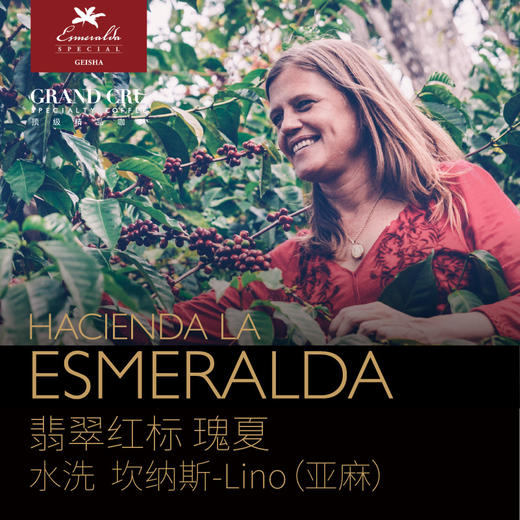 2021新产季 | 翡翠庄园红标水洗瑰夏lino#(亚麻)