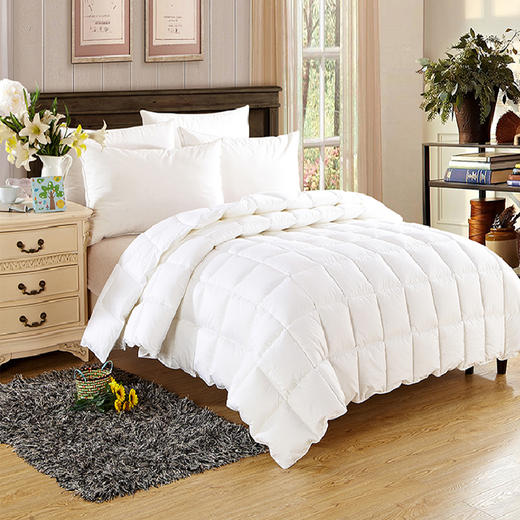 【紫韵家纺】卡罗琳塞鹅绒被白色皮质软包 商品图2