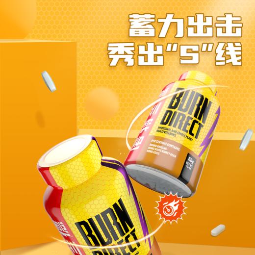 脂肪终结者（大黄瓶）FUSION BURN 诺特兰德 懒人轻体 无运动 上班族快减 商品图1