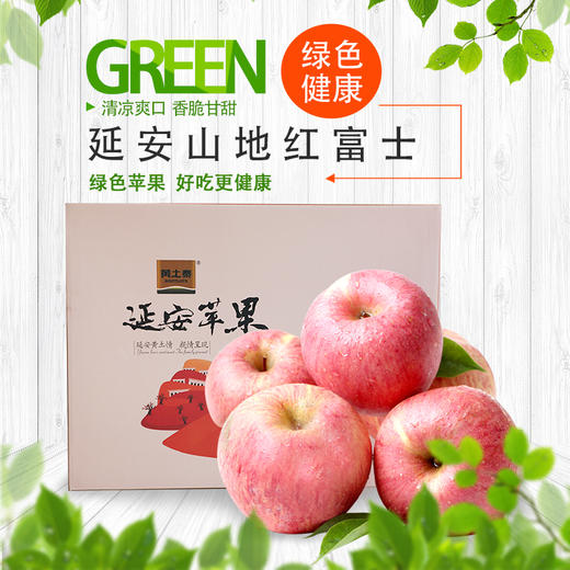 黄土情vip12头苹果 商品图1