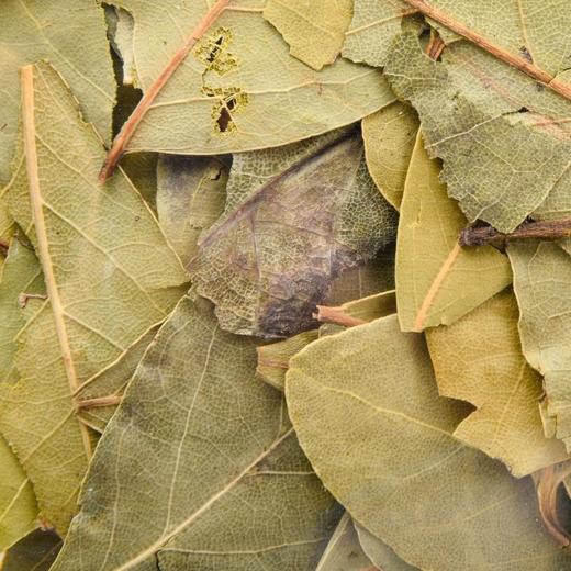 每日伊藤香叶15g 商品图2