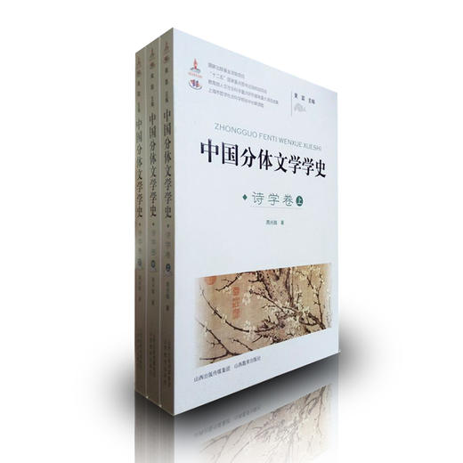 正版包邮 中国分体文学学史诗学卷上中下 套装共3册 文学学术研究 国家重点图书出版规划项目 山西教育出版社 商品图0