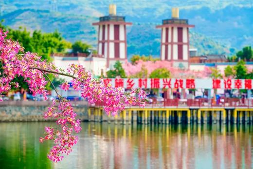 攀枝花奏响“健康中国”强音 商品图3