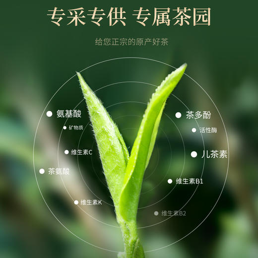 传奇会茶叶 正宗福鼎白茶花香白牡丹茶饼 陈香高山福建老白茶国庆礼盒装500g 商品图8