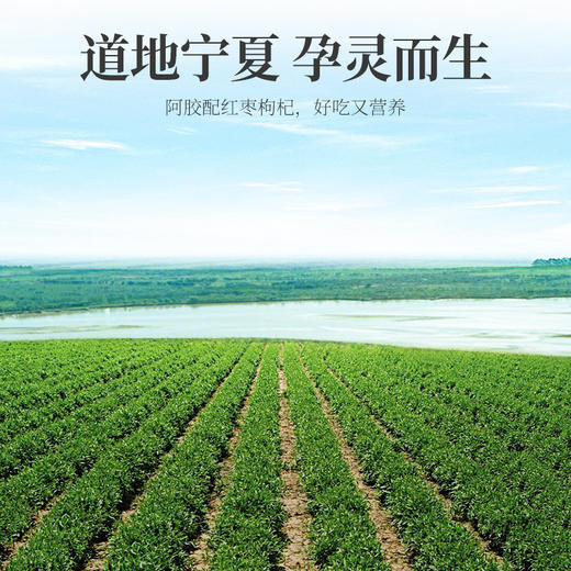 【杞里香出塞特优级枸杞礼盒480g】宁夏红枸杞勾杞子精选茶泡水 煲汤、熬粥 商品图3