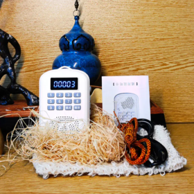 32G音频播放器内容