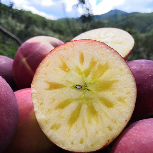 糖心苹果云南宾川高山水果汁水充裕甜蜜爽口5斤装10斤装产地直发包邮