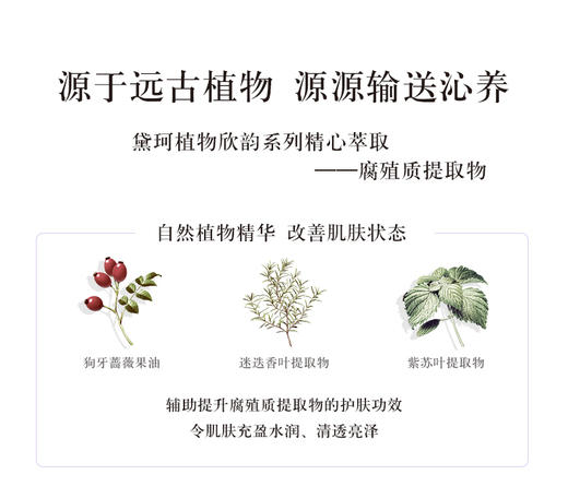 【中欧班列精选】日本黛珂植物韵律美白水乳200ml 清爽 /滋润 BF 商品图4