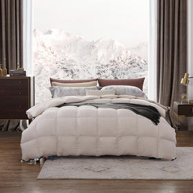 黑金奢享加拿大鹅绒冬被