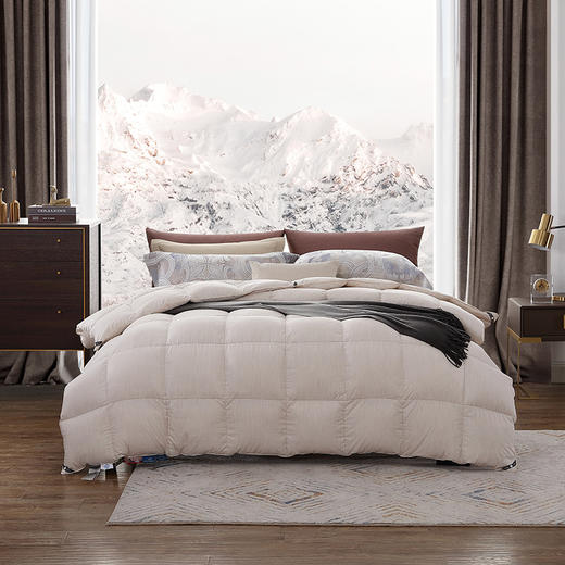 黑金奢享加拿大鹅绒冬被 商品图0