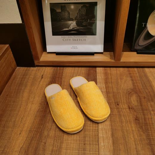朴西冬季拖鞋家用厚底保暖柔软静音简约防滑加绒加厚居家男棉拖鞋 商品图6