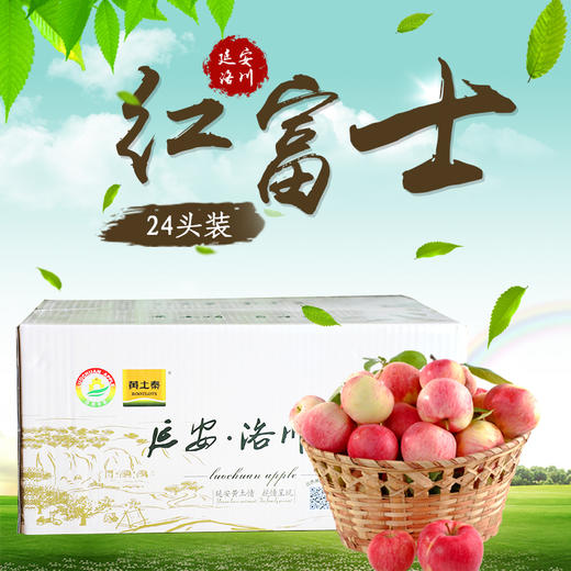 黄土情 延安洛川苹果24头 80-85果 商品图0
