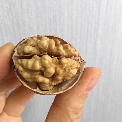 新疆阿克苏185一级真正纸皮核桃 3/5斤装 商品图5