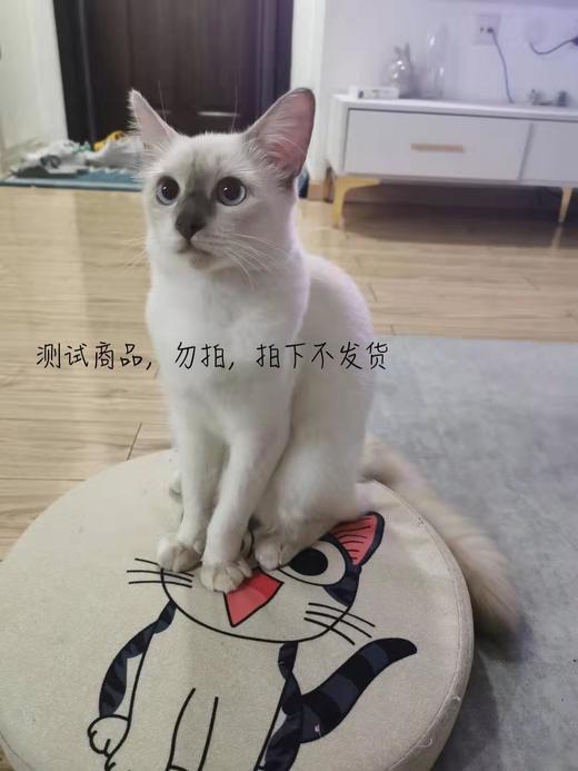 满减商品 商品图0