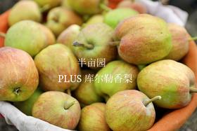 半亩园库尔勒香梨 4.5斤装