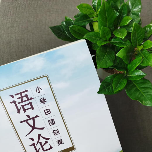小学田园创美 语文论 小学语文课 教学研究 商品图3