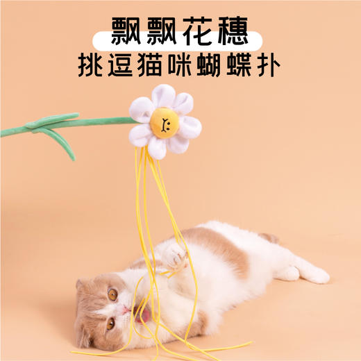 PurLab噗扑实验室逗猫棒花花fafa猫咪玩具自嗨耐咬猫薄荷 商品图3