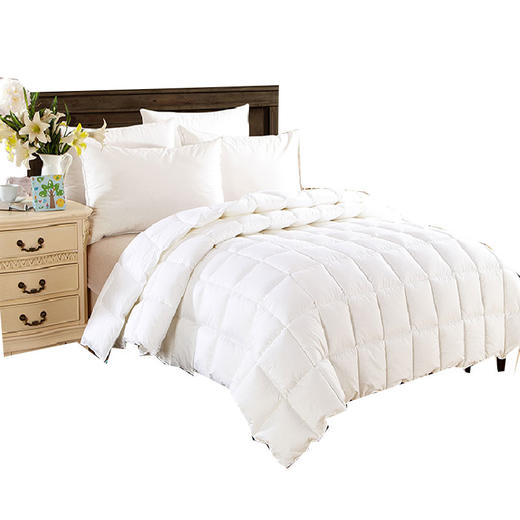 【紫韵家纺】卡罗琳塞鹅绒被白色皮质软包 商品图3