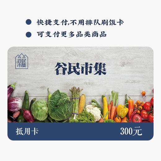 谷民市集线上消费抵用卡 （船舶大厦）刷卡后不予以退卡，请谨慎下单哦 商品图0