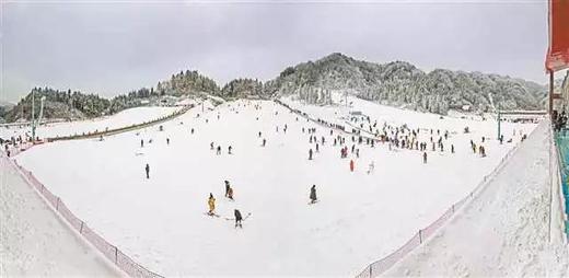 重庆石柱“民渝合作”  结出累累硕果 商品图1