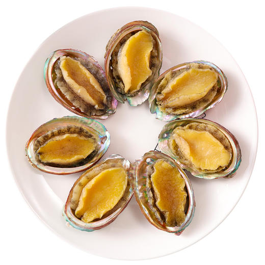 鲜活鲍鱼新鲜冷冻煲汤贝类海鲜水产冰冻8只装鲍鱼 商品图2