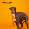 PAWZCITY都市霓红绳结玩具 商品缩略图1