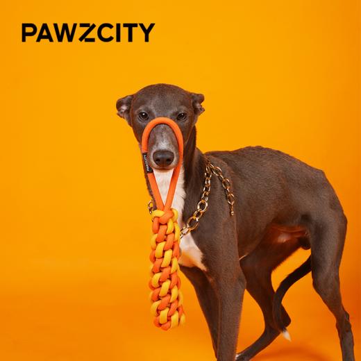 PAWZCITY都市霓红绳结玩具 商品图1