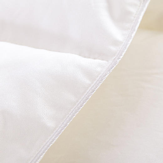 【紫韵家纺】卡罗琳塞鹅绒被白色皮质软包 商品图1