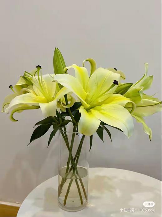 llyt百合黄天霸木门多头ab级