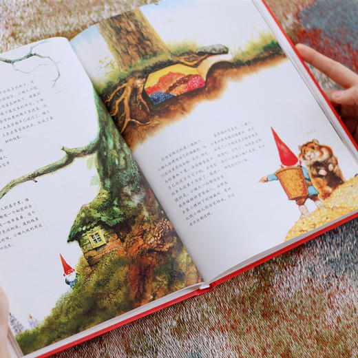 《小矮人》丨一本和"小王子"一样温暖心灵的书 商品图9