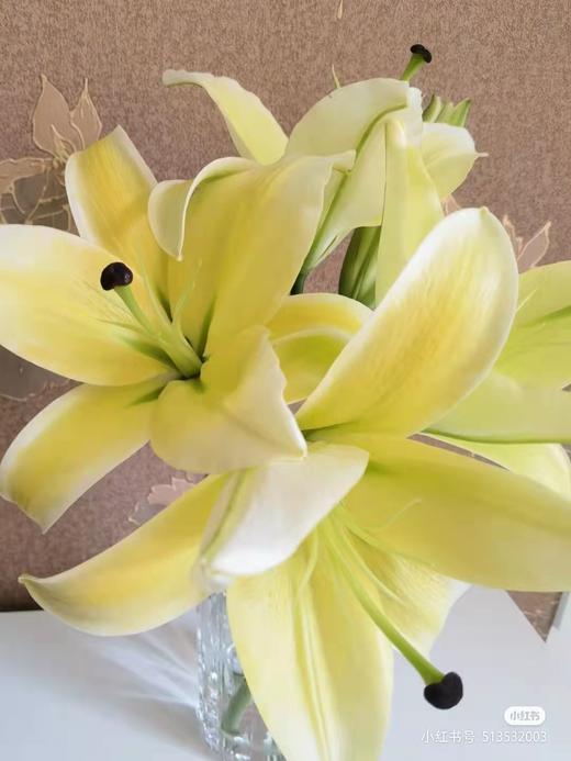 llyt百合黄天霸木门多头ab级