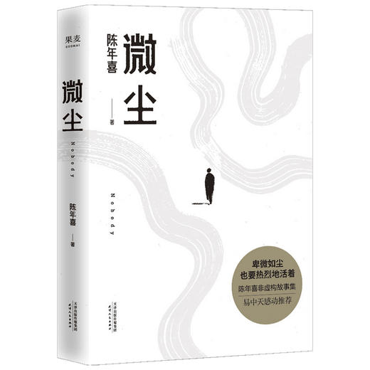 微尘  陈年喜著 易中天 非虚构故事集 卑微如尘也要热烈地活着 微尘陈年喜 21篇故事 50余位人物画像 散文文学 商品图1