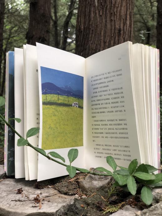 【签名本】《各自爱》 商品图5