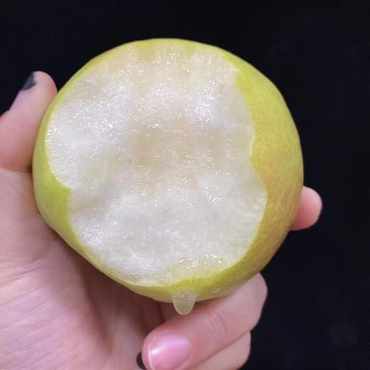 玉贵妃玉露香梨精品大果45斤装可选皮薄肉酥香甜可口中通包邮