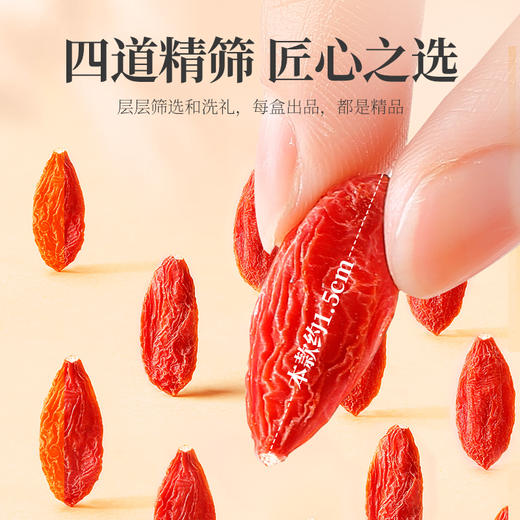【杞里香出塞特优级枸杞礼盒480g】宁夏红枸杞勾杞子精选茶泡水 煲汤、熬粥 商品图8