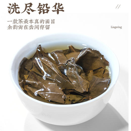 传奇会茶叶 正宗福鼎白茶寿眉老白茶茶饼 陈香高山福建白茶国庆礼盒装500g 商品图4